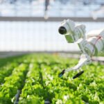 Government Support for Agri-Tech Expected to Transform Food Systems