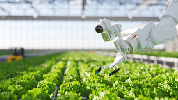 Government Support for Agri-Tech Expected to Transform Food Systems